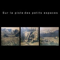 Sur la piste des petits espaces